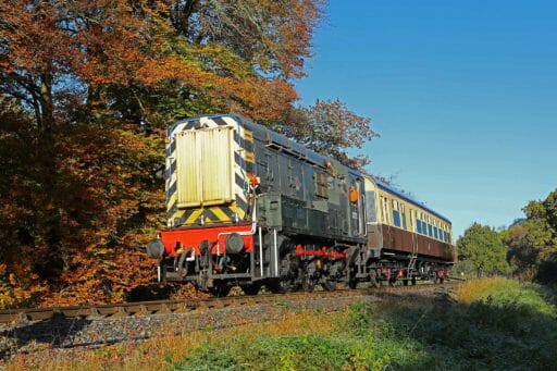 D3721与2016年Caddaford的汽车教练